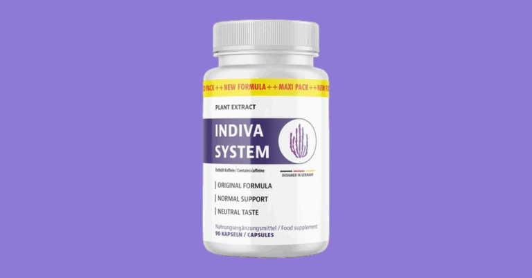 InDiva System Review