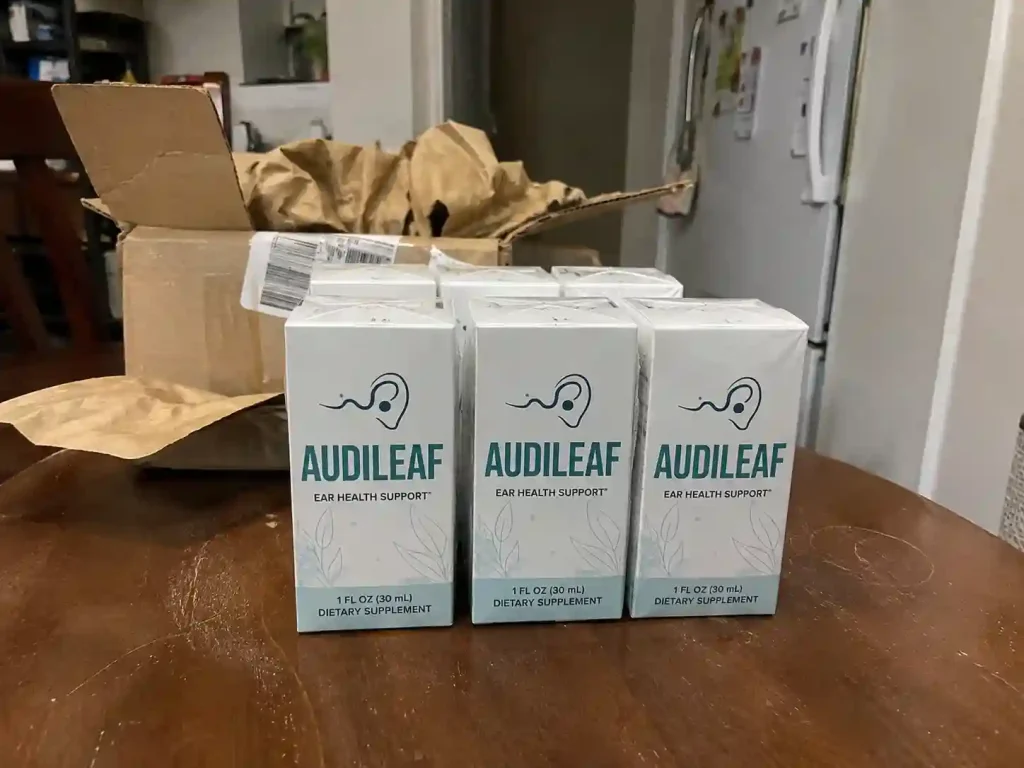 AudiLeaf Customer Reports