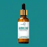 AudiLeaf Review