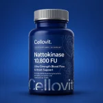 nattokinase feature image